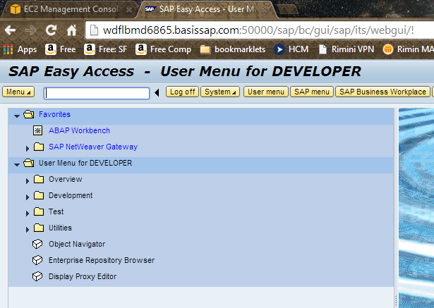 sap developer access